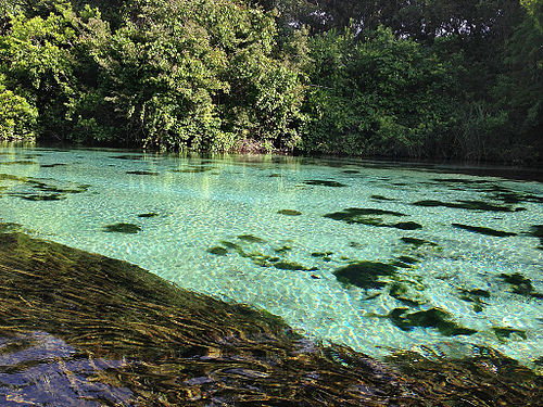 Weeki Wachee River